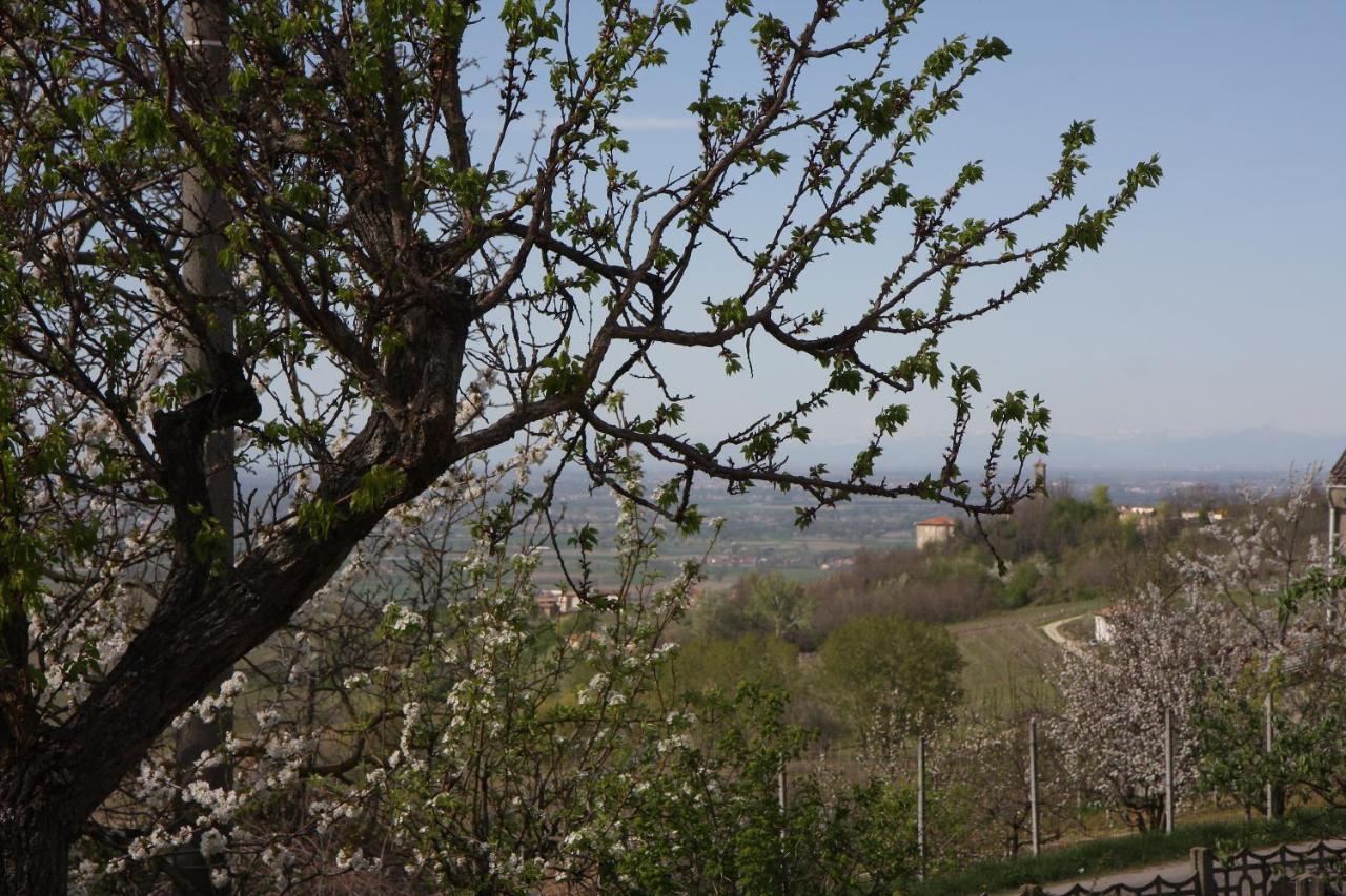 Bed and Breakfast Gli Acini Pietra de' Giorgi Екстер'єр фото