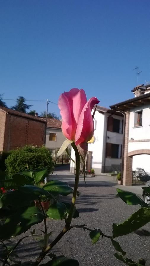 Bed and Breakfast Gli Acini Pietra de' Giorgi Екстер'єр фото